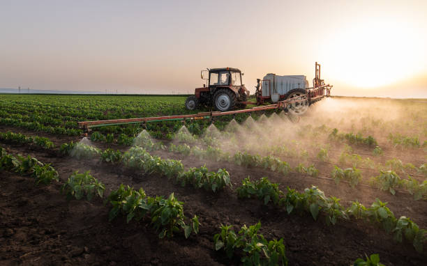 Reliable Marysville, MI Pest Control Solutions