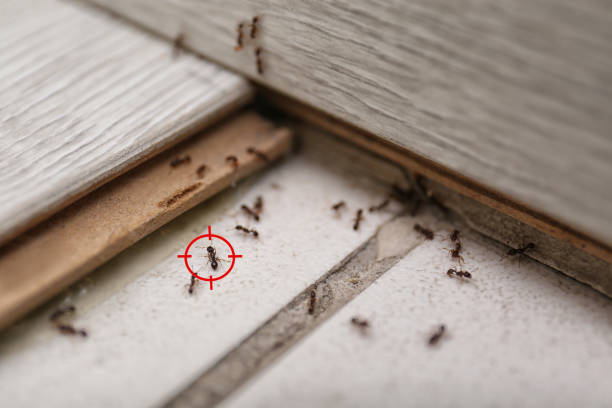 Pest Control Cost in Marysville, MI