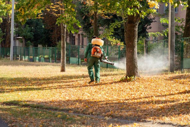 Best Commercial Pest Control Services  in Marysville, MI