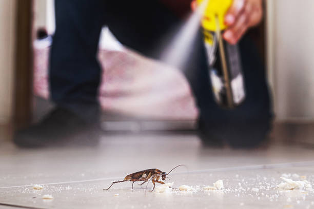 Best Affordable Pest Control Services  in Marysville, MI