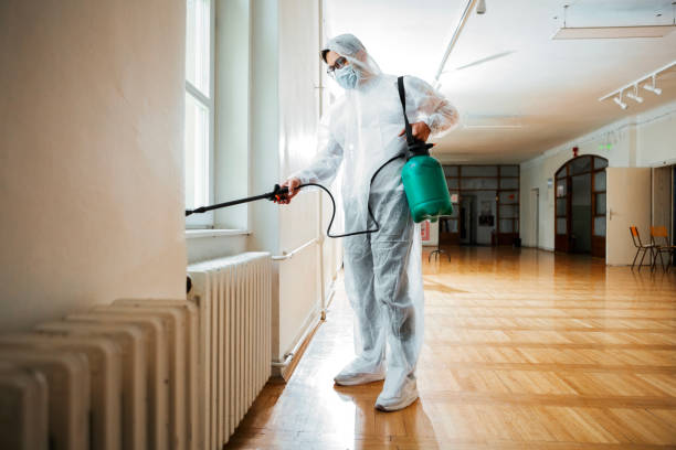 Best Ant Control Services  in Marysville, MI