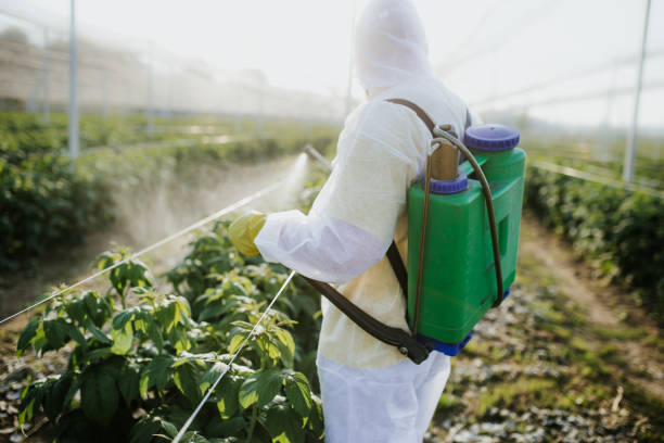 Best Pest Inspection Near Me  in Marysville, MI